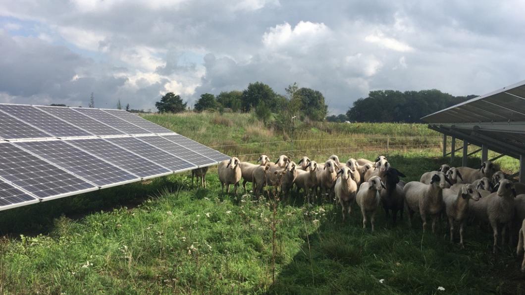 Zonnepark de Kwekerij