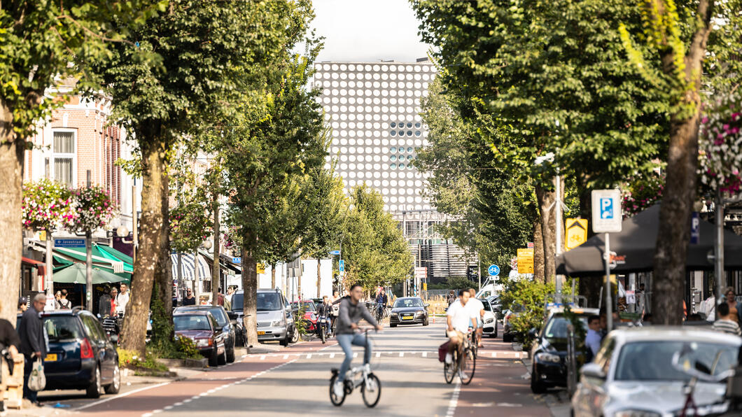 bomen in de stad