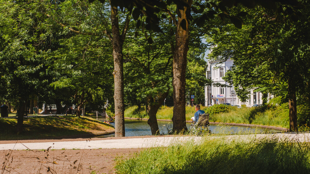 bomen singel