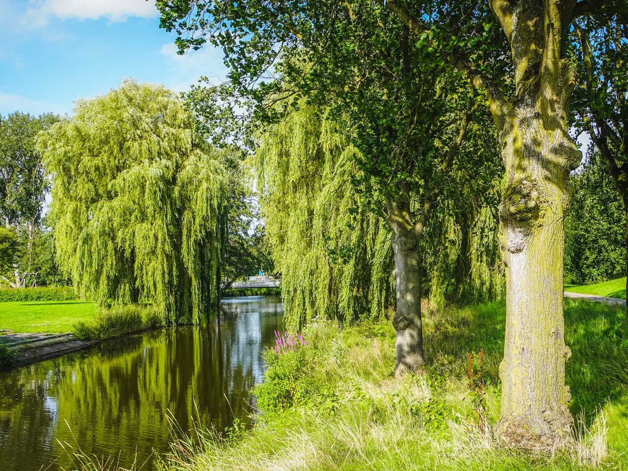 Noordwest