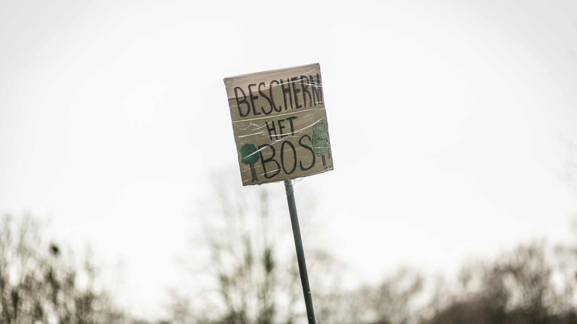 Bescherm het bos