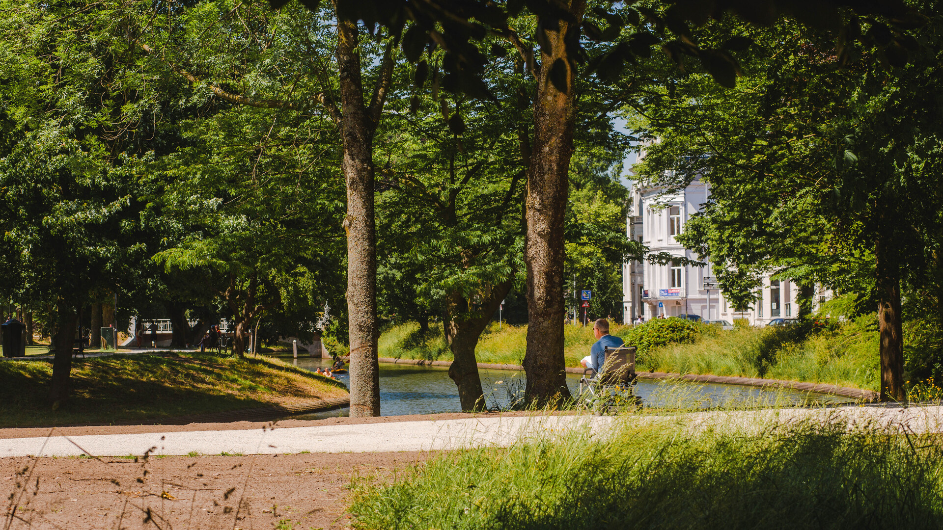 bomen singel