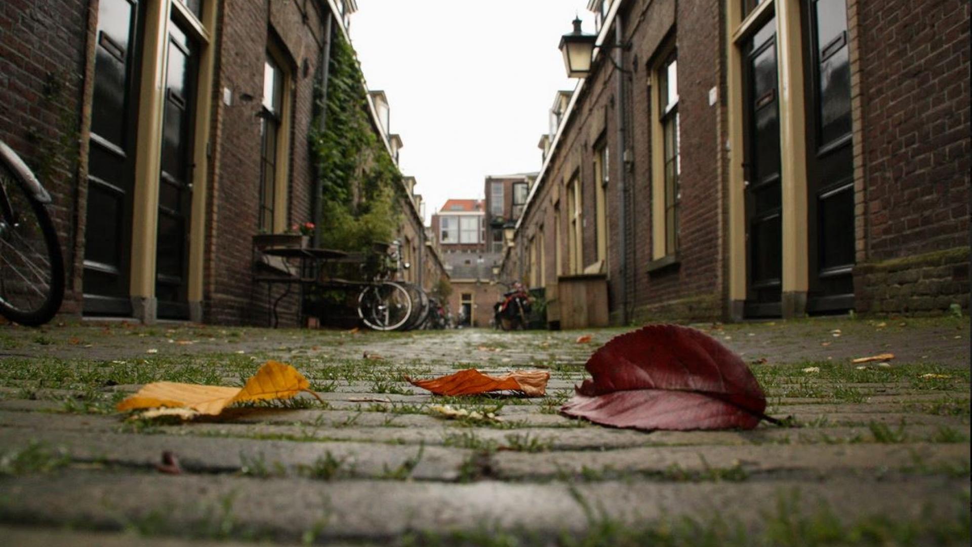 steegjes.JPG